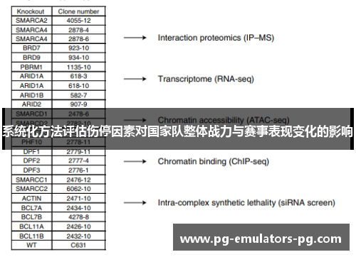系统化方法评估伤停因素对国家队整体战力与赛事表现变化的影响
